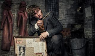 邓布利多格林德沃 邓布利多格林德沃