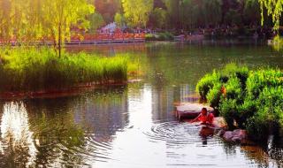 石家庄二手电脑 石家庄二手电脑