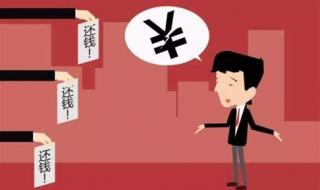 我在讨债公司这些年 我在讨债公司这些年