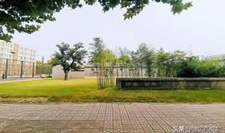 邢台学院专科分数线 邢台学院专科分数线