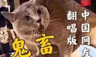 五音不全唱什么歌 五音不全唱什么歌