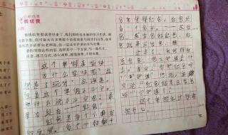 300字小作文 300字小作文