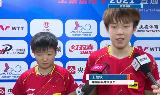 孙颖莎王楚钦混双冠军 孙颖莎王楚钦混双冠军