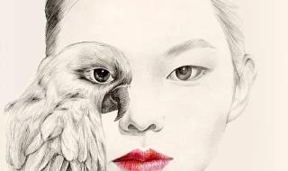 小鸟与女孩 小鸟与女孩