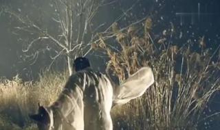 佛说何晟铭 佛说何晟铭