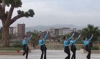 广场舞社员都是向阳花 广场舞社员都是向阳花