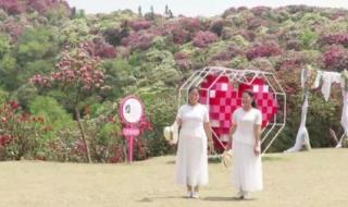 上春山什么意思 上春山什么意思