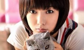 赵柯主演的电视剧 赵柯主演的电视剧