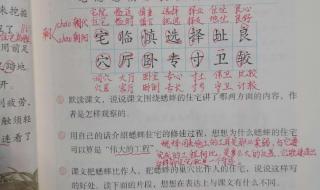 组词四年级上册 组词四年级上册