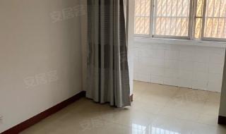 一室一厅出租500元