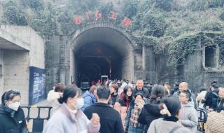 2023兔最火背景图片 2023兔最火背景图片