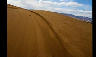 天地孤影任我行歌词 天地孤影任我行歌词