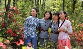 雅典娜女神叶璇全集